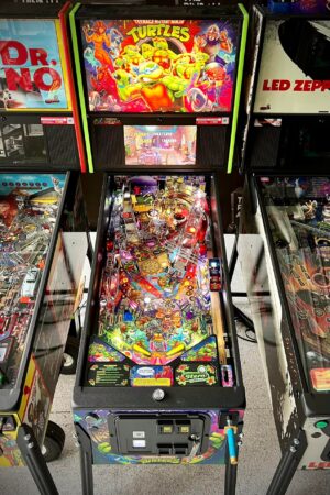 Teenage Mutant Ninja Turtles – Pro