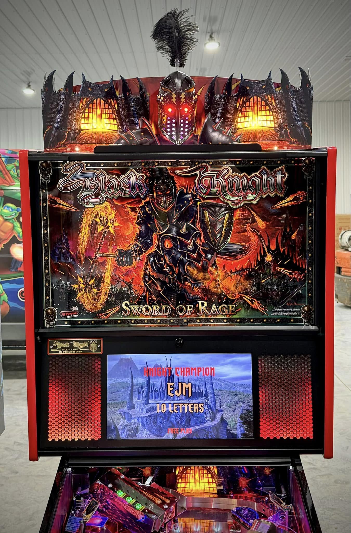 The Black Knight: Sword of Rage (LE) - Image 5