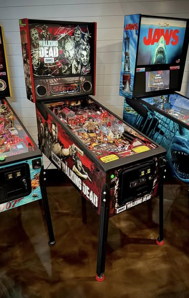 The Walking Dead (Pro) - Image 2