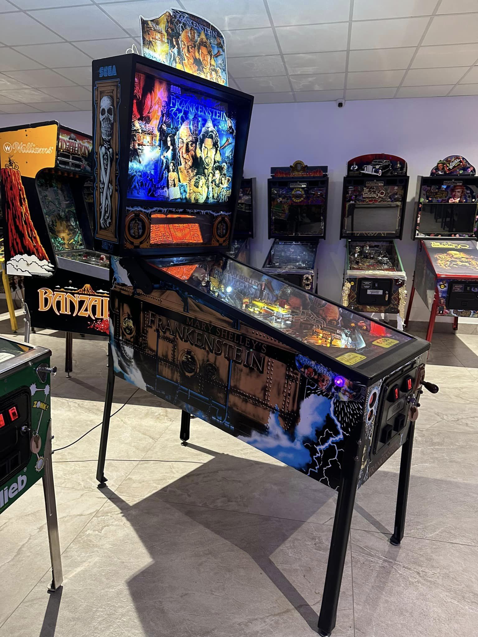 Mary Shelley’s Frankenstein